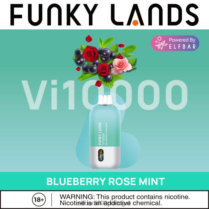 ELFBAR Funky Lands vape descartável vi10000 puffs mirtilo rosa hortelã 44FF8Z163 | ELF BAR 5000 Portugal